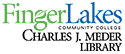Login Logo